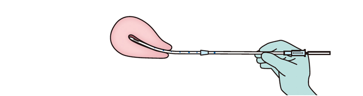 ゆっくりと挿入するイメージ画像