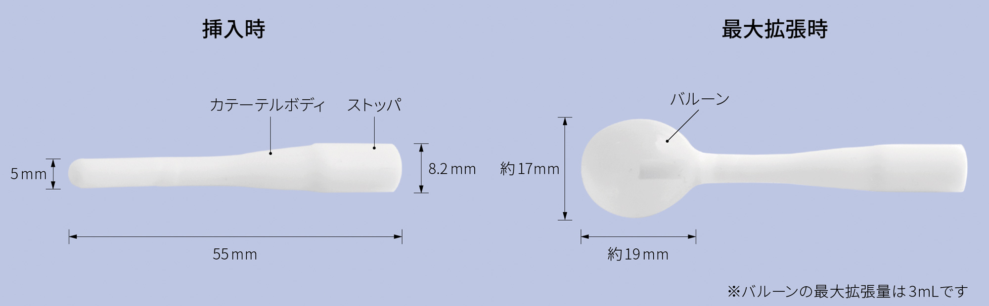 Word バルトリン腺カテーテルの各部名称